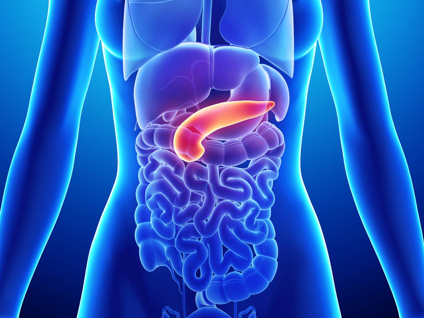 How Does The Pancreas Work In Type 2 Diabetes